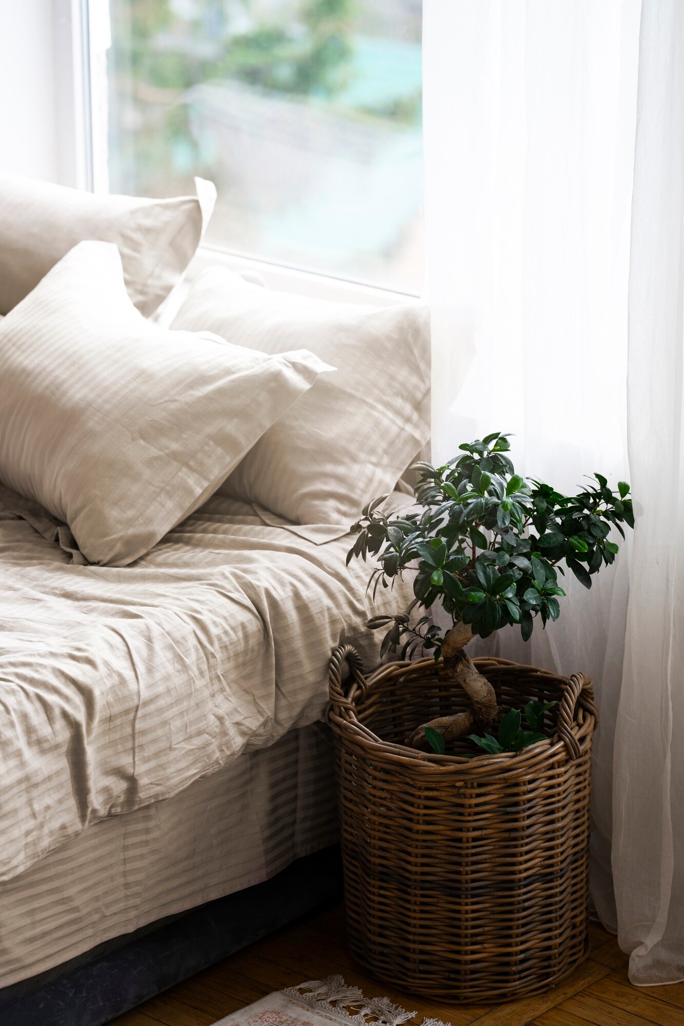 Habitación serena